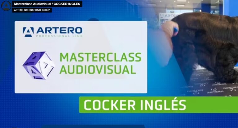 Cocker ingles