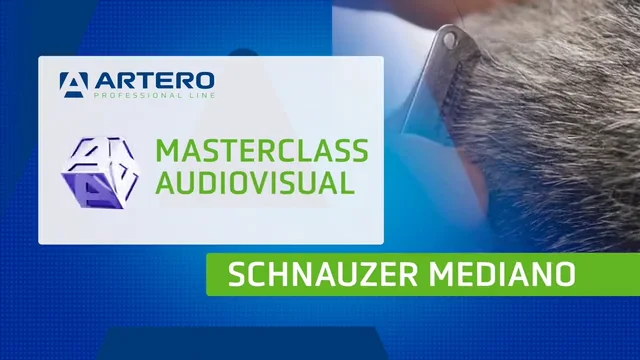 Schnauzer Mediano