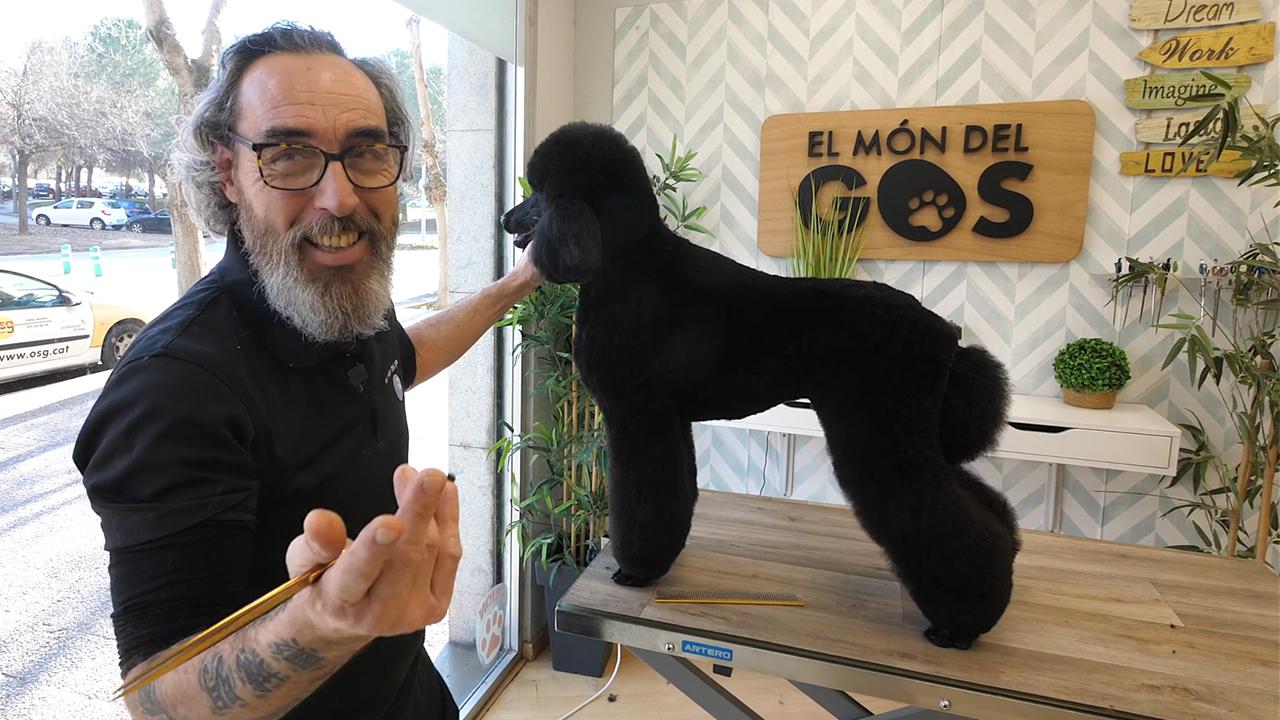 Caniche Gigante, Comercial, Enric Vilavedra