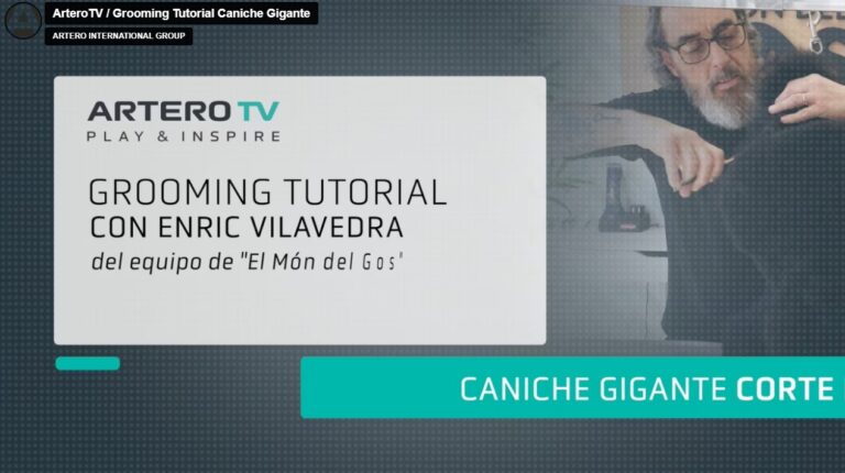 Enric Vilavedra para ArteroTV