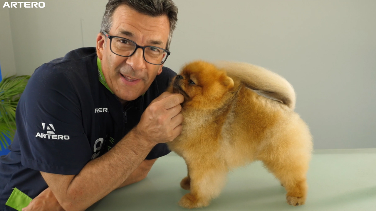 Pomerania, comercial,Angel Esteban